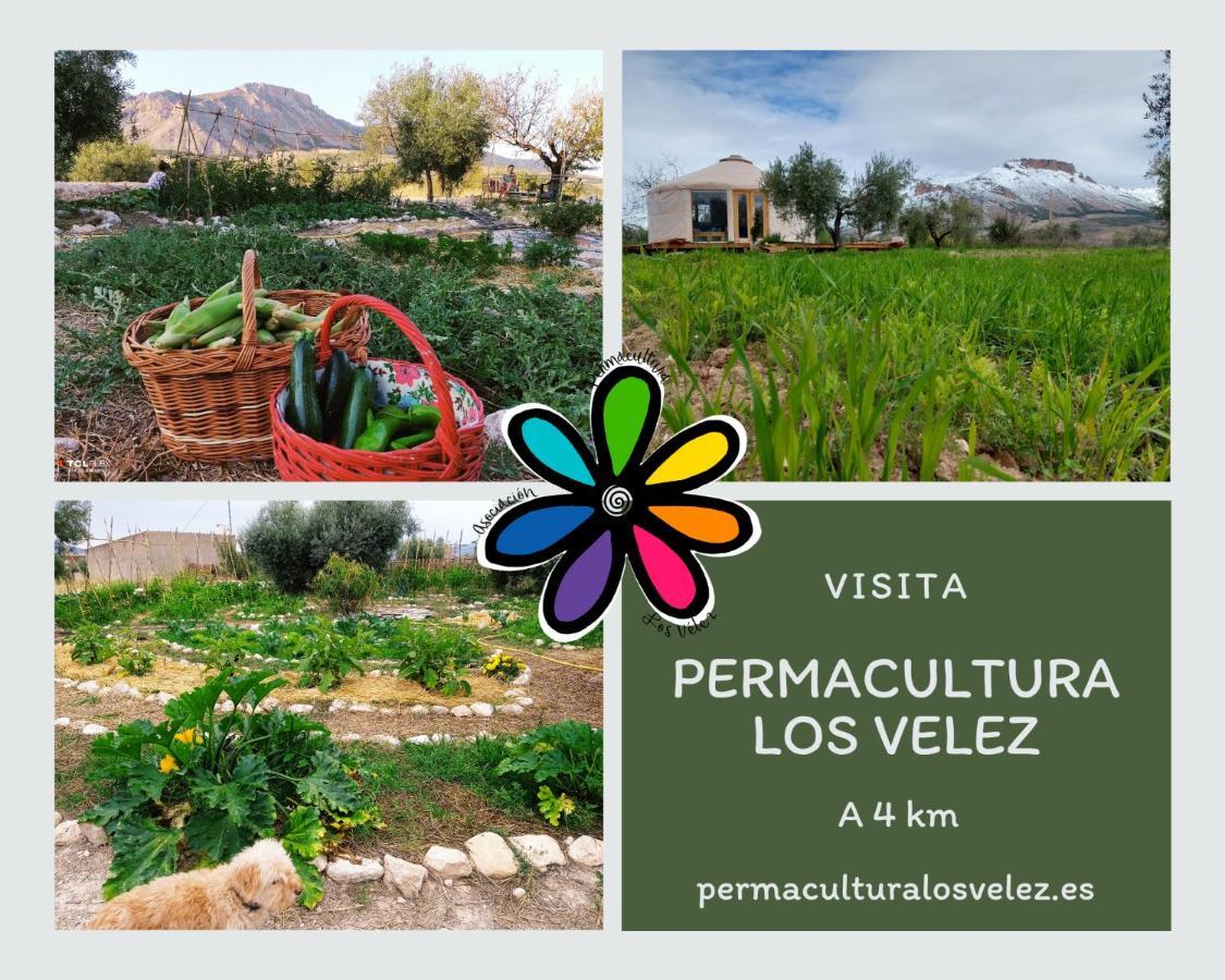 La Casa Viva. Alojamiento Responsable Y Sostenible. Vélez Blanco Exteriér fotografie